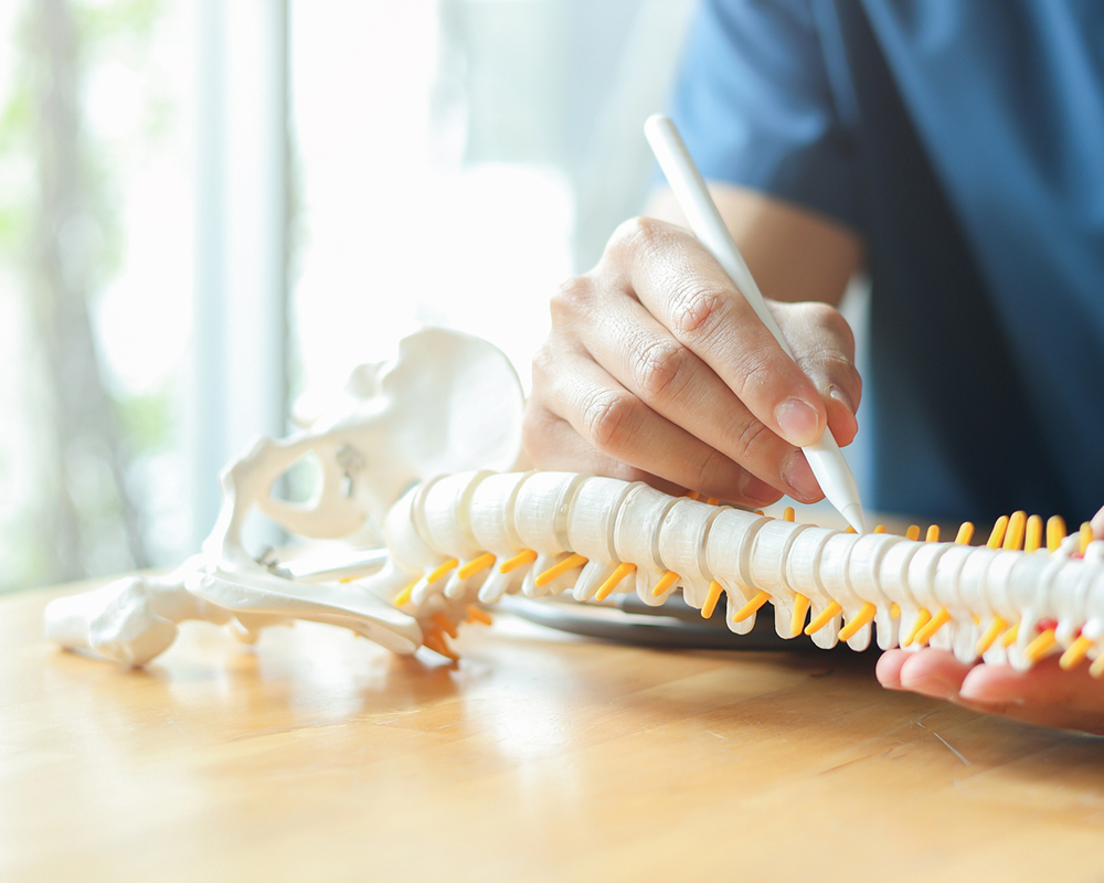 Orthopaedic Services